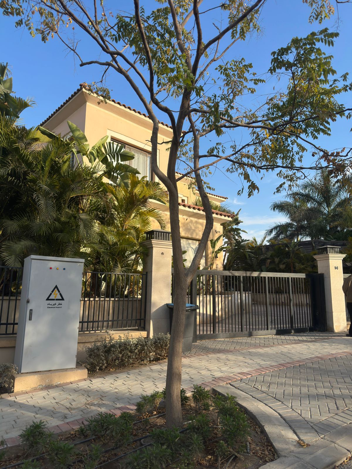 WhatsApp Image 2026-01-29 at 18.56.43