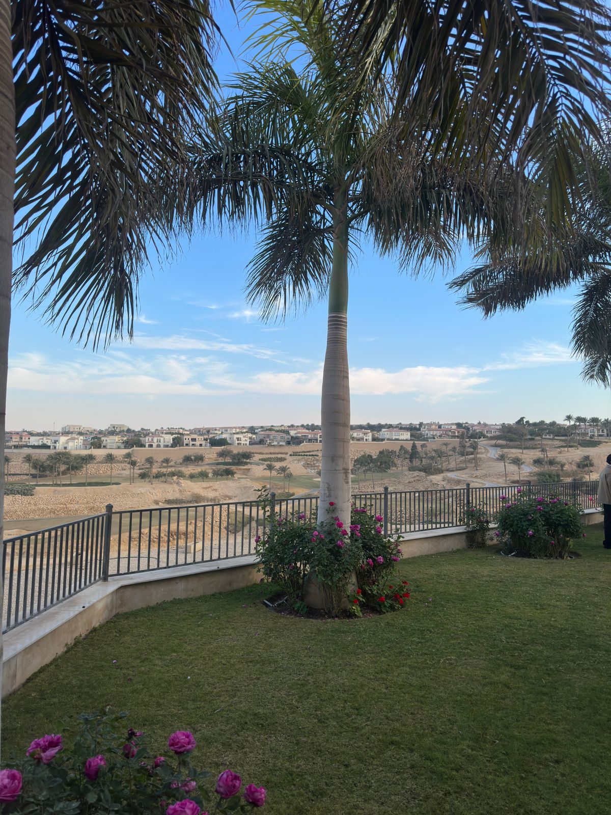 WhatsApp Image 2026-01-29 at 18.56.47