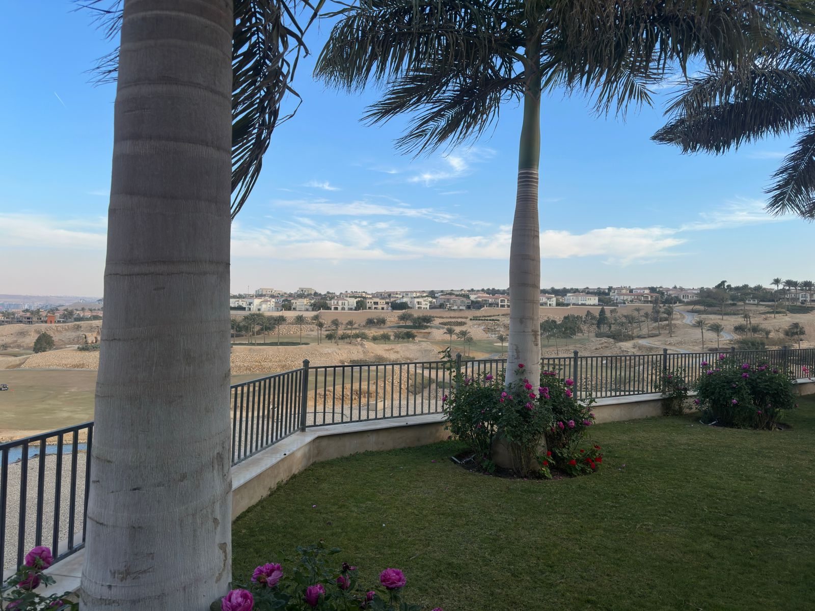 WhatsApp Image 2026-01-29 at 18.56.48 (1)