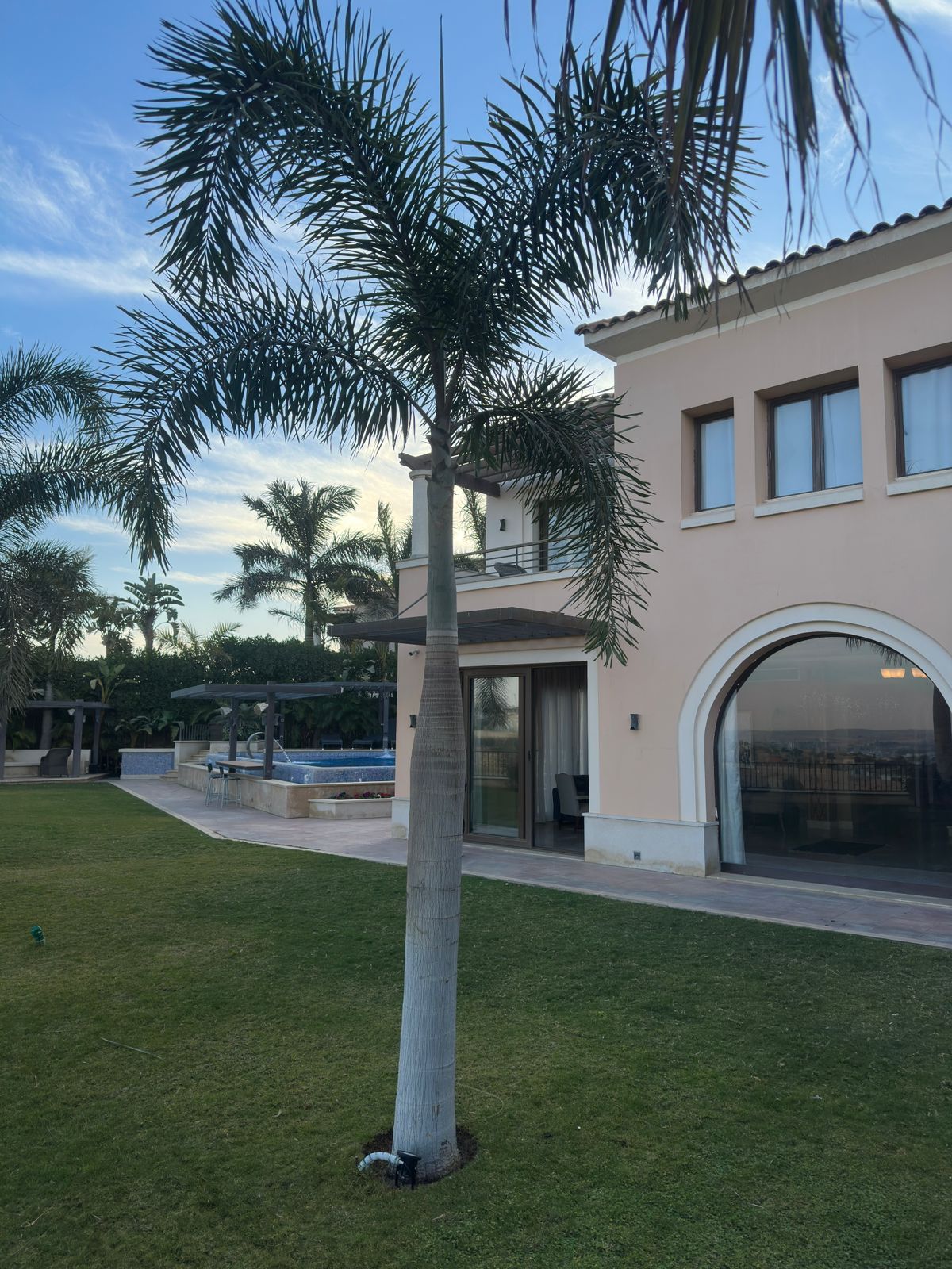 WhatsApp Image 2026-01-29 at 18.56.48 (2)