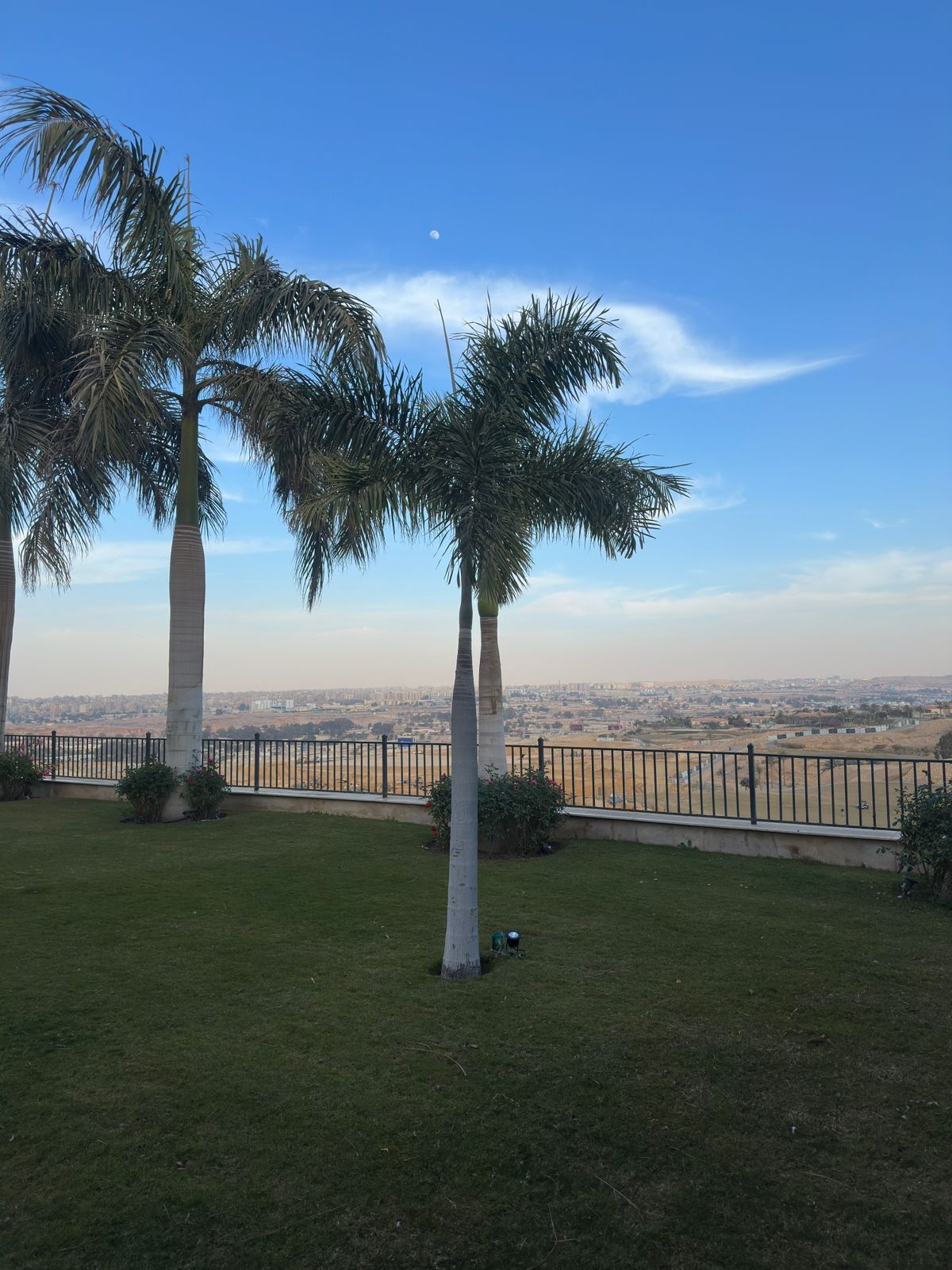 WhatsApp Image 2026-01-29 at 18.56.48 (3)