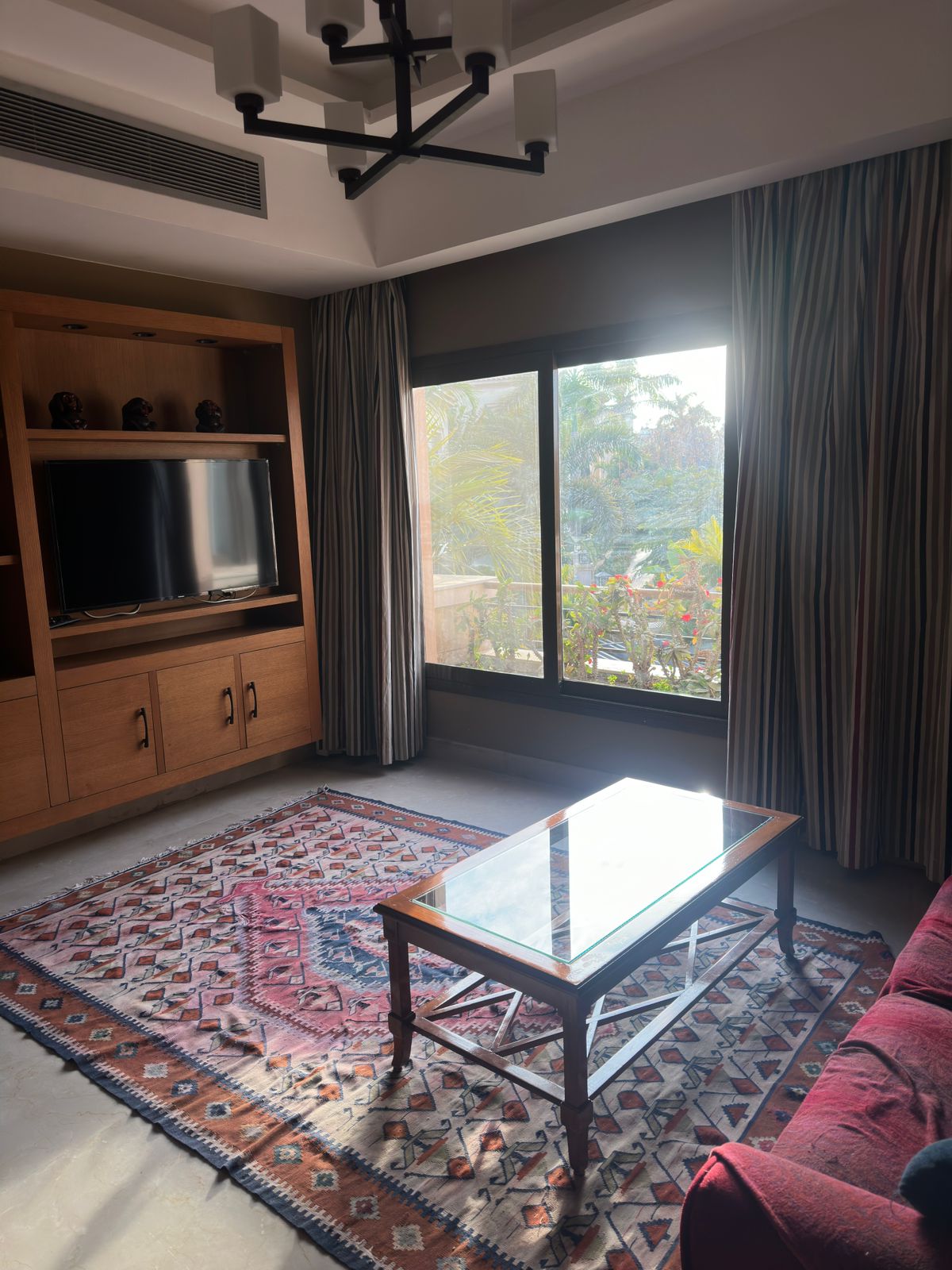 WhatsApp Image 2026-01-29 at 18.56.53