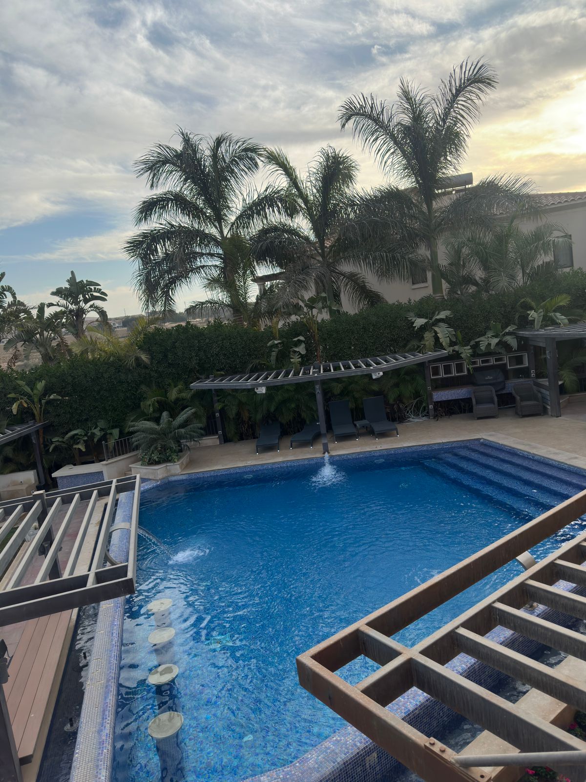 WhatsApp Image 2026-01-29 at 18.56.55