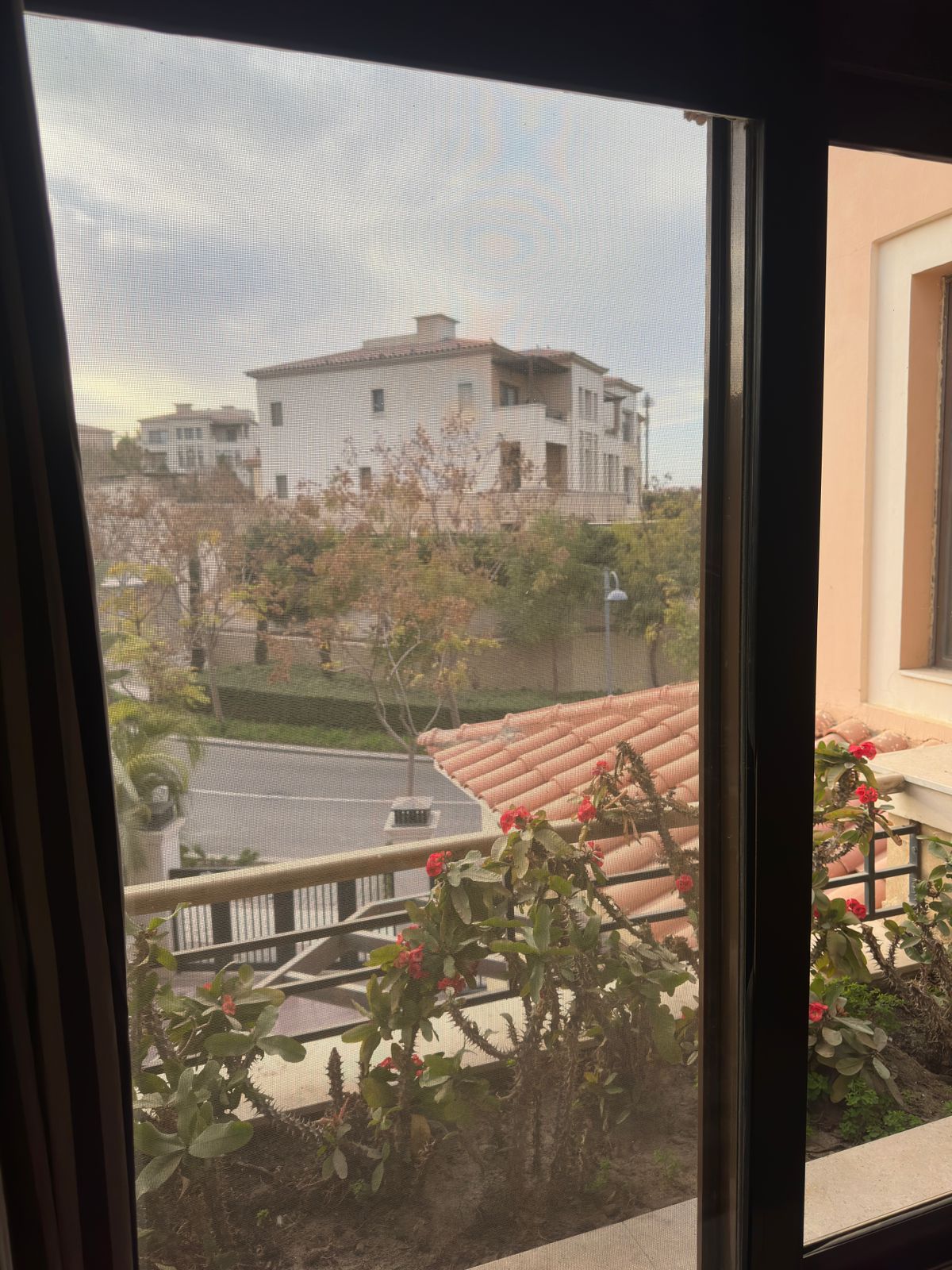 WhatsApp Image 2026-01-29 at 18.56.57 (1)